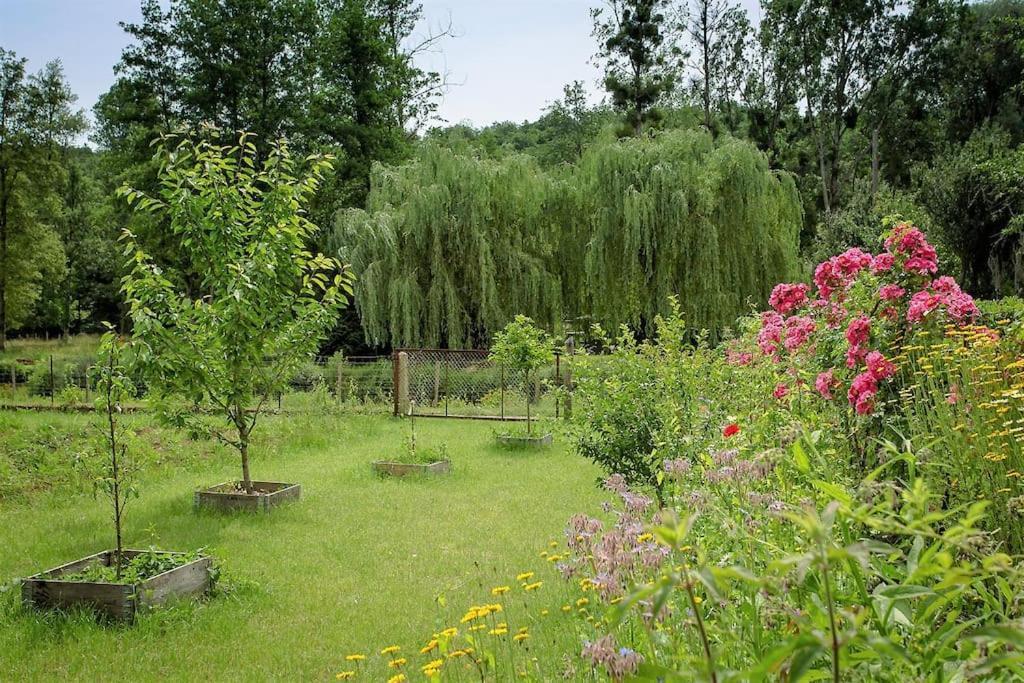 Chambres Independantes De Charme A Proximite D'Amboise Pocé-sur-Cisse 外观 照片